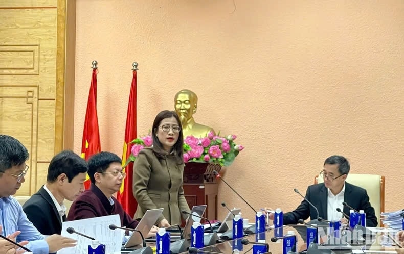 Bà Trần Thị Trang, Vụ trưởng Vụ Bảo hiểm Y tế, Bộ Y tế phát biểu tại hội thảo. Ảnh TL