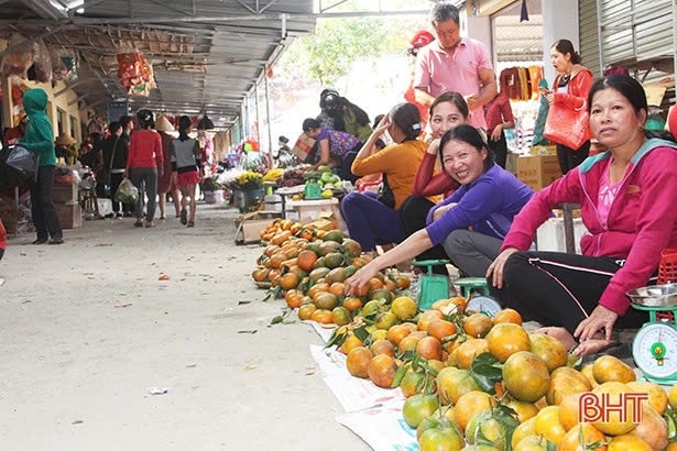 Cam bù trong một phiên chợ Tết. Ảnh: TL Cam bù trong một phiên chợ Tết. Ảnh: TL