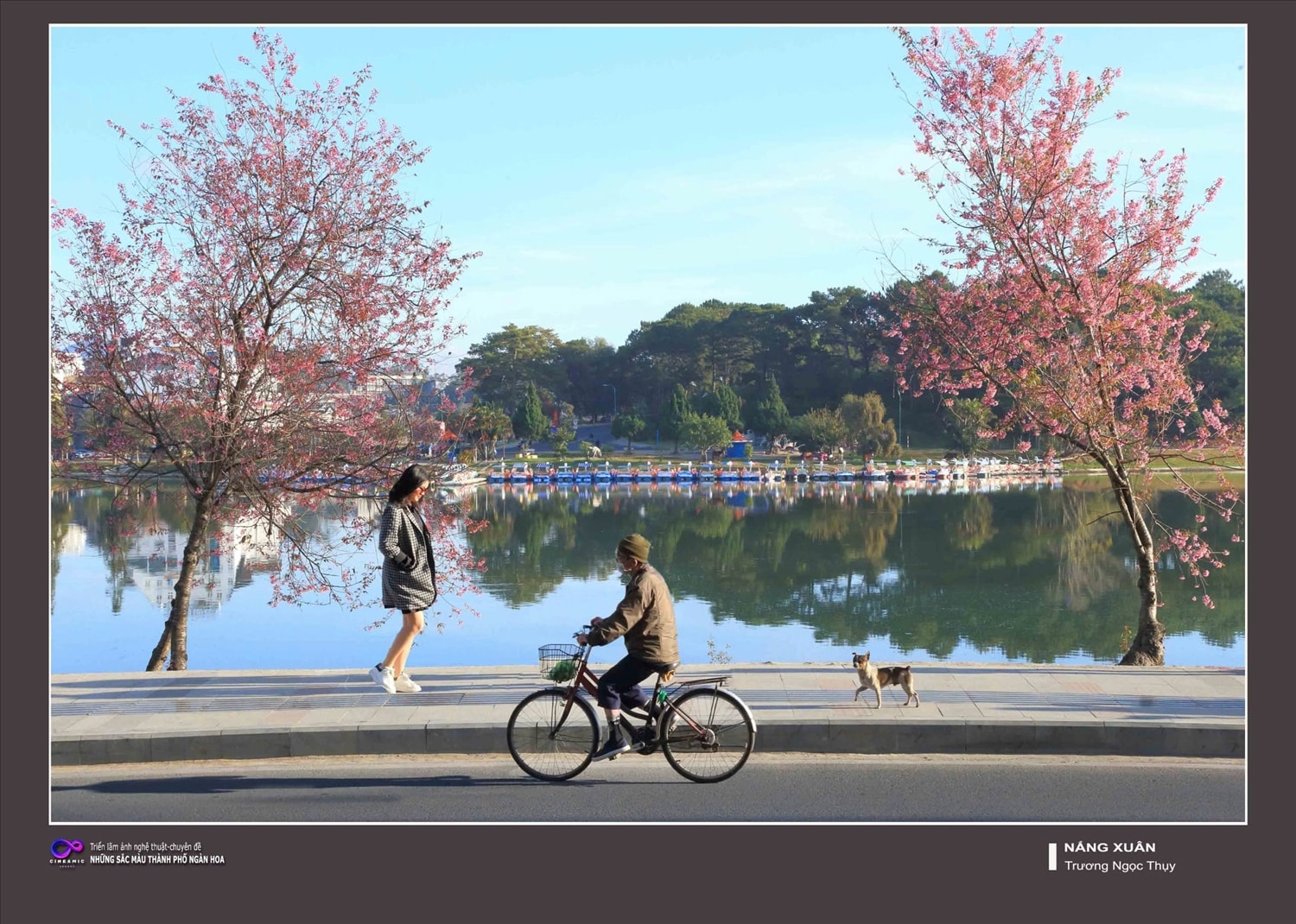 Nắng xuân - Ảnh Trương Ngọc Thụy Nắng xuân - Ảnh Trương Ngọc Thụy