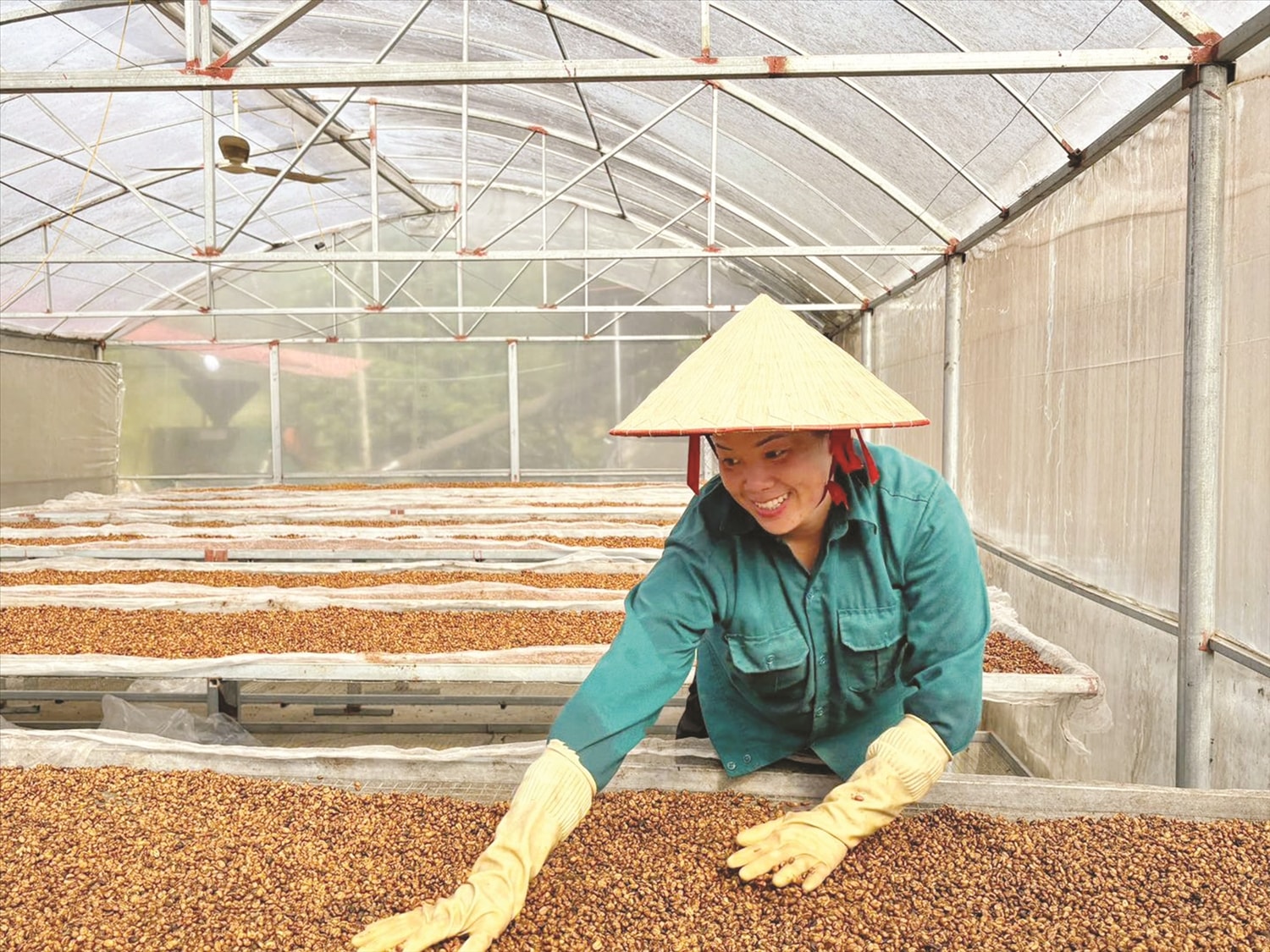 Một khâu trong quy trình sản xuất “Café Chị Em”. Một khâu trong quy trình sản xuất “Café Chị Em”.