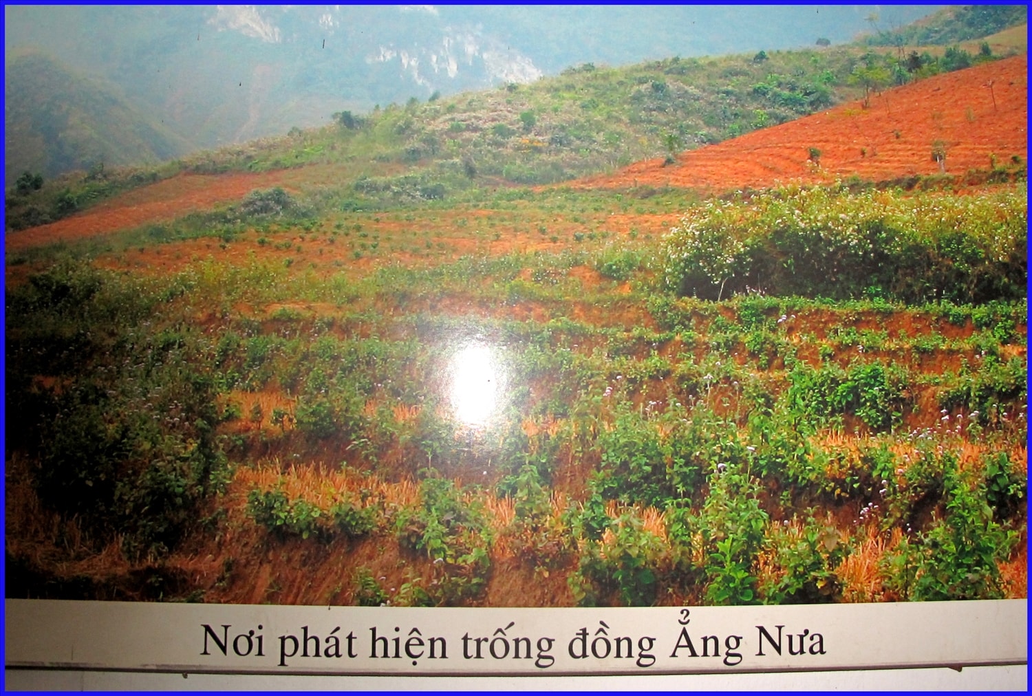 (bài CTV) Công tác sưu tầm trống đồng cổ ở Điện Biên:  Chuyện rất ít người biết