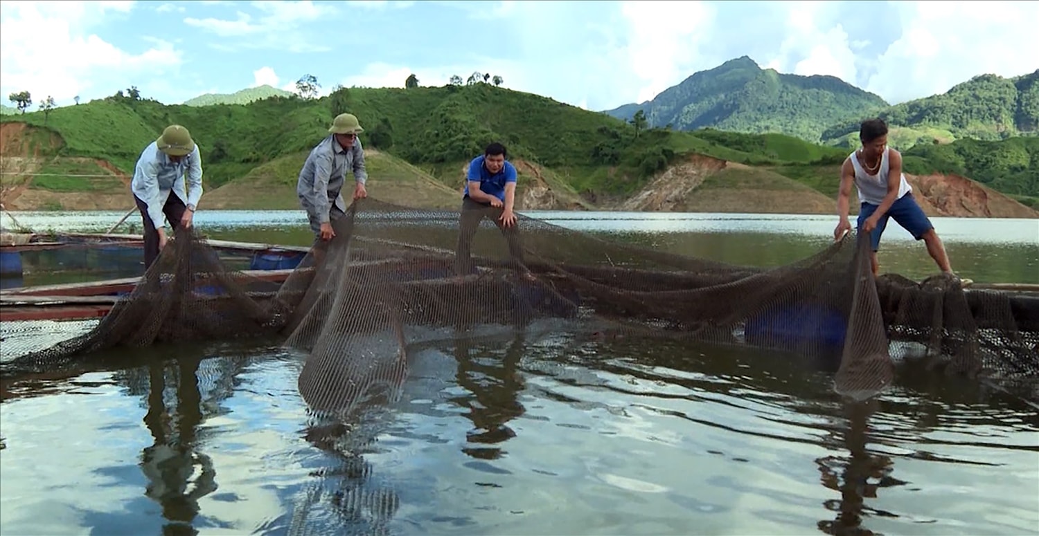 Mô hình nuôi cá lồng bè đang là xu hướng giúp bà con thoát nghèo. Mô hình nuôi cá lồng bè đang là xu hướng giúp bà con thoát nghèo.