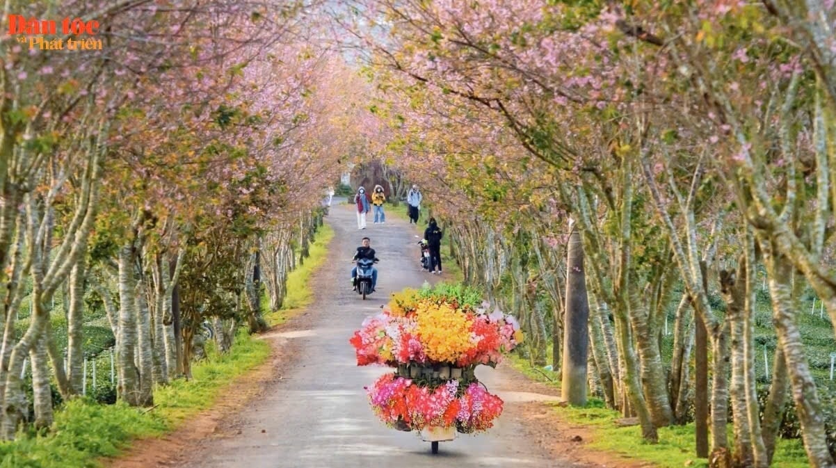 Đến Đà Lạt