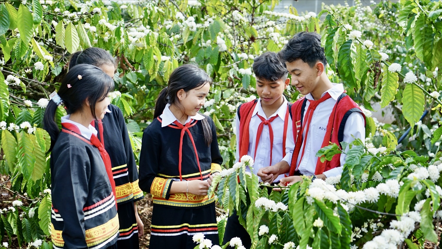Em Rơ Châm Hằng  (ở giữa) cùng bạn bè lưu lại khoảnh khắc đẹp của mùa hoa cà phê trên quê hương Gia Lai