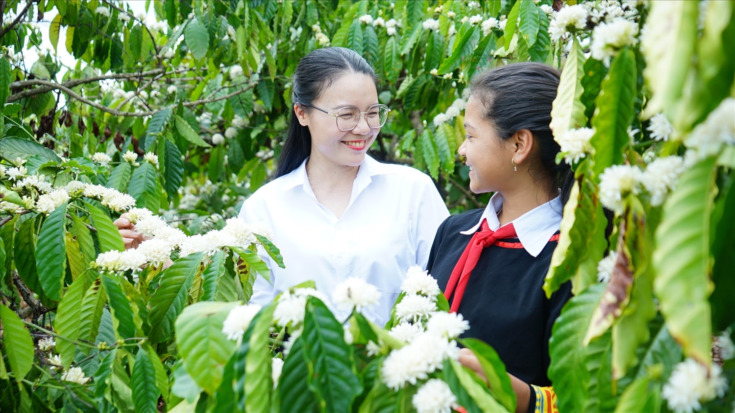 Trong không gian yên bình và thơ mộng của mùa hoa cà phê, du khách từ khắp mọi miền cũng tìm đến Tây Nguyên để được tận mắt chiêm ngưỡng