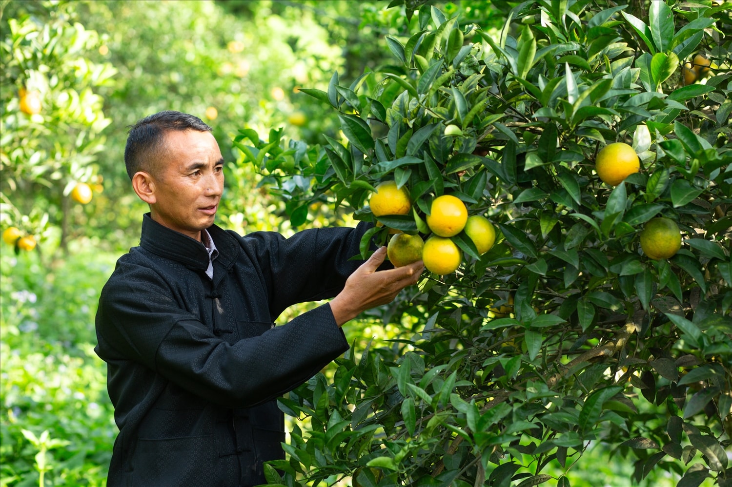 Vị trưởng thôn Suối Thầu và những nghĩa cử vì cộng đồng 