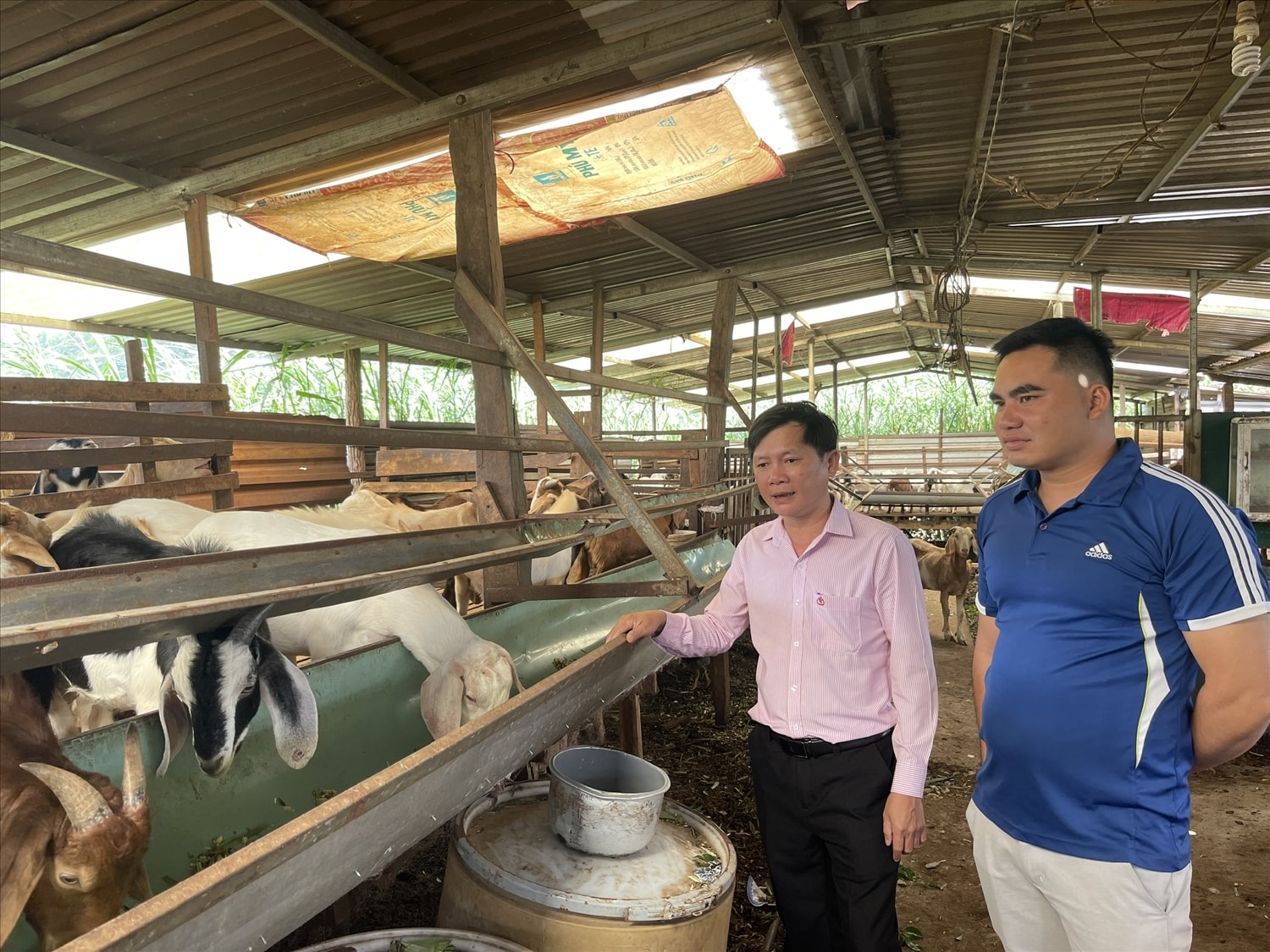 GIám đốc Phòng Giao dịch NHCSXH huyện Đắk Mil (Đắk Nông) kiểm tra sử dụng nguồn vốn tại xã Long Sơn