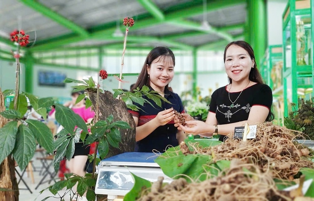 Phiên chợ Sâm Ngọc Linh diễn ra hàng tháng tại thủ phủ Sâm Ngọc Linh Nam Trà My mở ra thị trường mới cho nhiều người dân ở huyện miền núi Nam Trà My. Phiên chợ Sâm Ngọc Linh diễn ra hàng tháng tại thủ phủ Sâm Ngọc Linh Nam Trà My mở ra thị trường mới cho nhiều người dân ở huyện miền núi Nam Trà My.