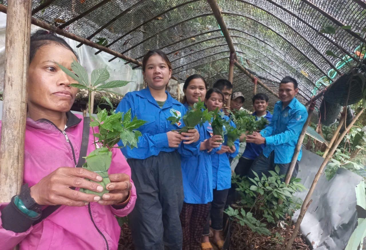 Anh Hồ Văn Dấu - Phó Bí thư Đoàn xã Trà Linh tặng sâm cho người nghèo. (Ảnh NVCC). Anh Hồ Văn Dấu - Phó Bí thư Đoàn xã Trà Linh tặng sâm cho người nghèo. (Ảnh NVCC).