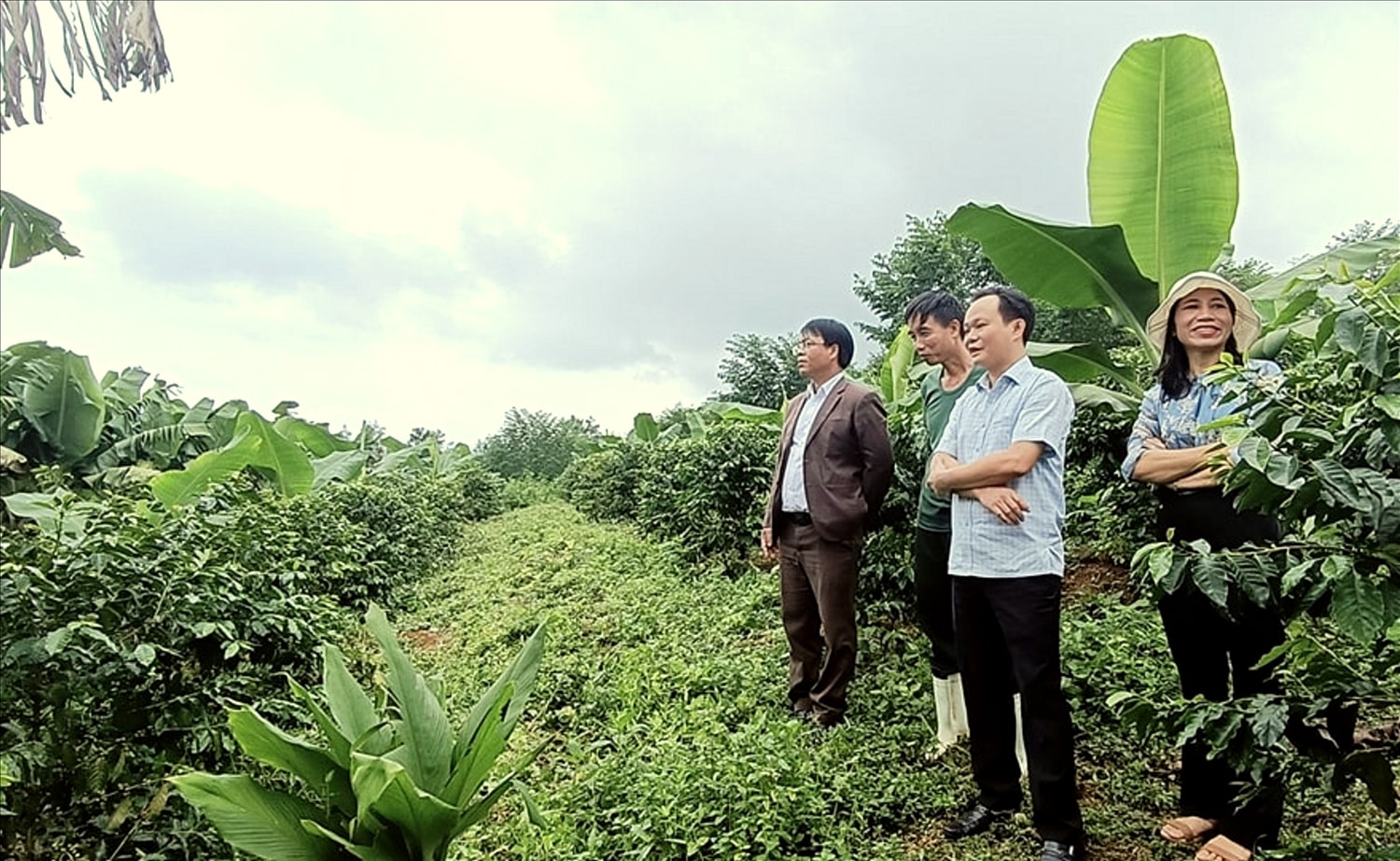 Ông Nguyễn Mạnh Hùng, Chủ tịch UBND huyện A Lưới đến thăm mô hình kinh tế của ông Lê Như Tự. Ông Nguyễn Mạnh Hùng, Chủ tịch UBND huyện A Lưới đến thăm mô hình kinh tế của ông Lê Như Tự.