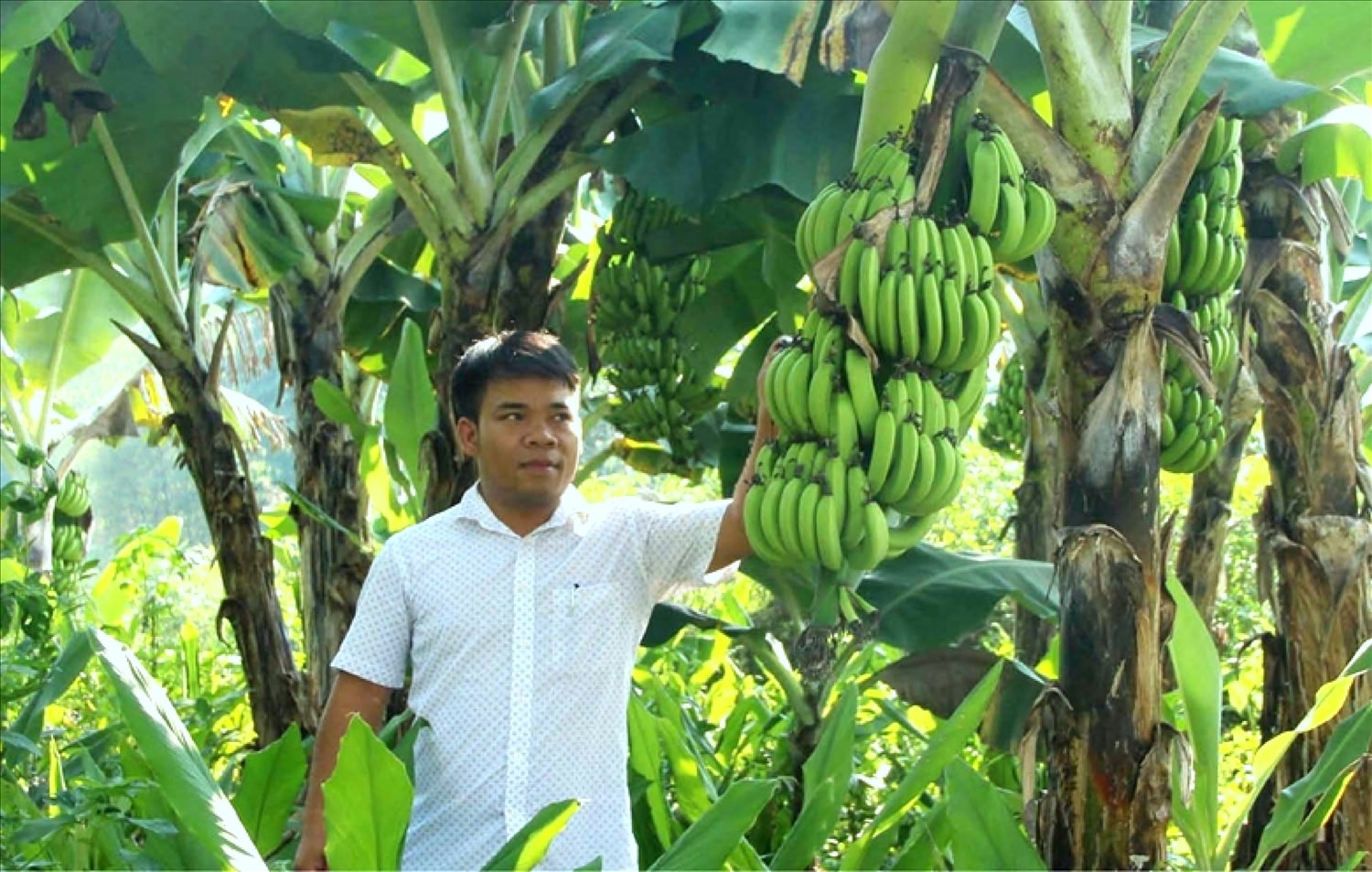 Anh Nguyễn Hải Teo với mô hình trang trại sinh học tuần hoàn mang lại hiệu quả kinh tế cao. Anh Nguyễn Hải Teo với mô hình trang trại sinh học tuần hoàn mang lại hiệu quả kinh tế cao.