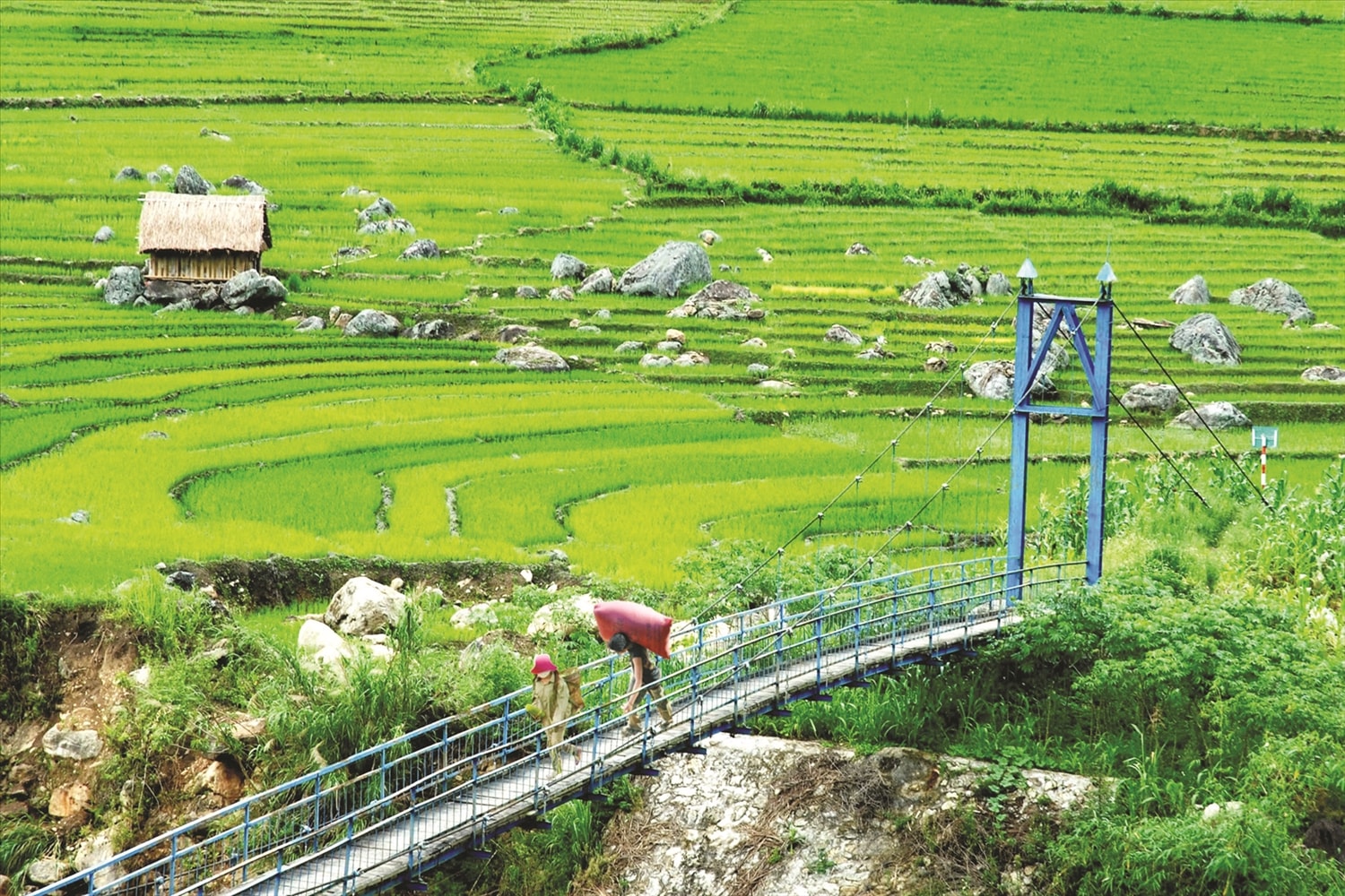 Cầu treo dân sinh xã Ngọc Linh, huyện Đăk Glei được Nhà nước đầu tư cho người dân thuận tiện đi lại, sản xuất. Cầu treo dân sinh xã Ngọc Linh, huyện Đăk Glei được Nhà nước đầu tư cho người dân thuận tiện đi lại, sản xuất.
