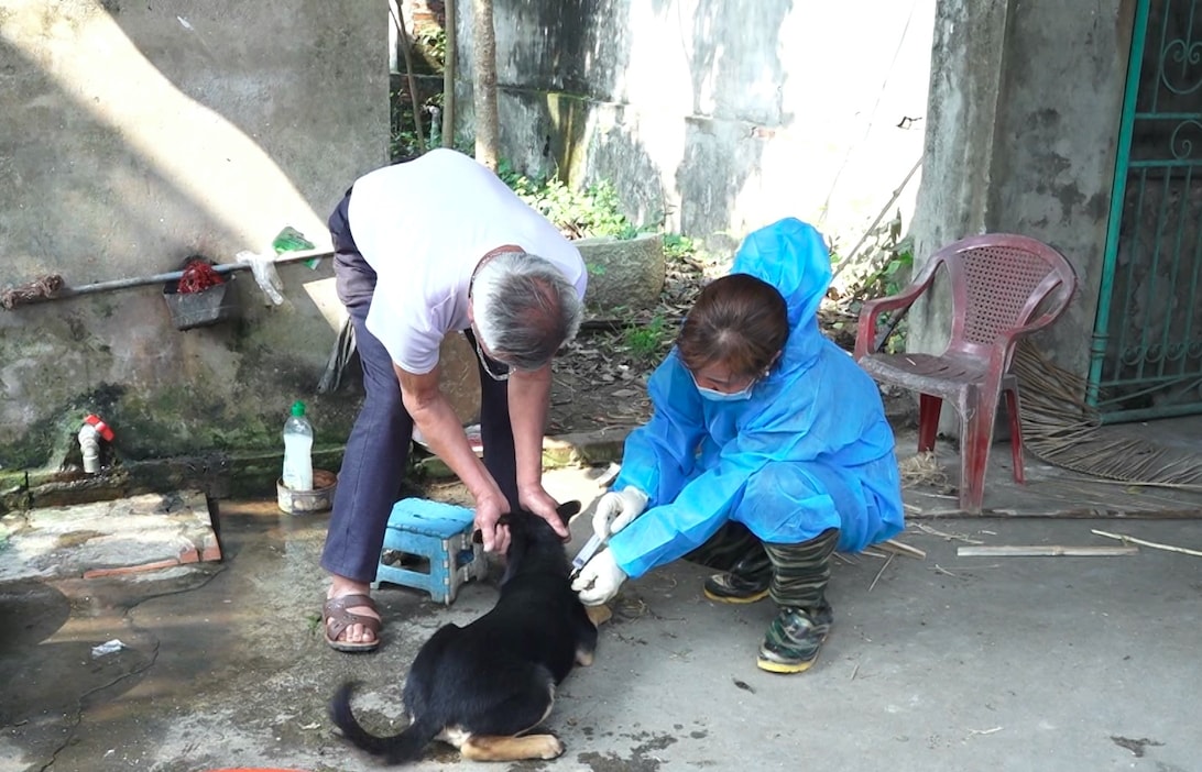 Tiêm phòng là cách tốt nhất để ngăn ngừa bệnh Dại (Ảnh minh hoạ) Tiêm phòng là cách tốt nhất để ngăn ngừa bệnh Dại (Ảnh minh hoạ)