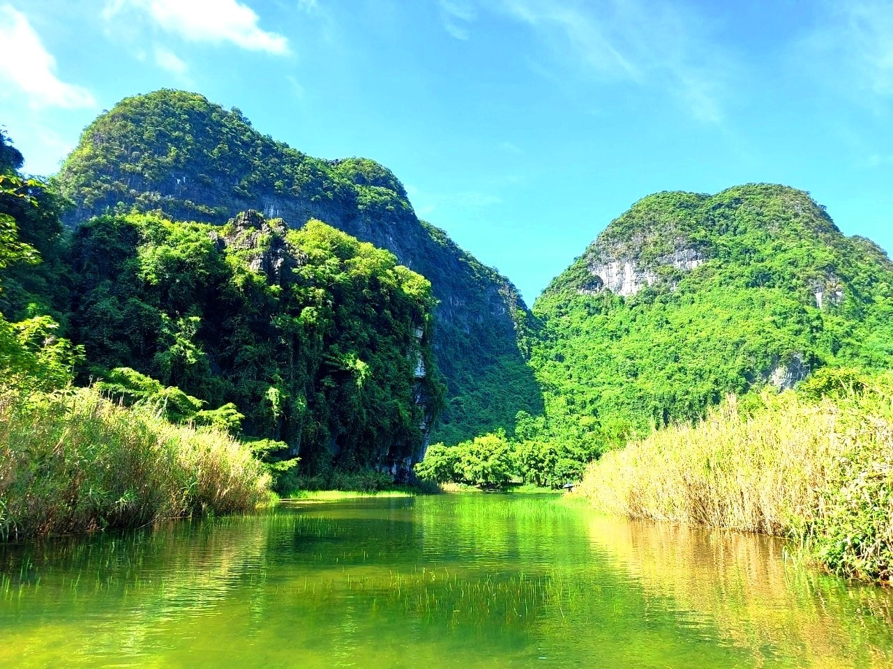 Có những đoạn cỏ cây um tùm, hoang sơ và thơ mộng. Con sông Sào Khê có những đoạn cỏ cây um tùm, hoang sơ và thơ mộng.