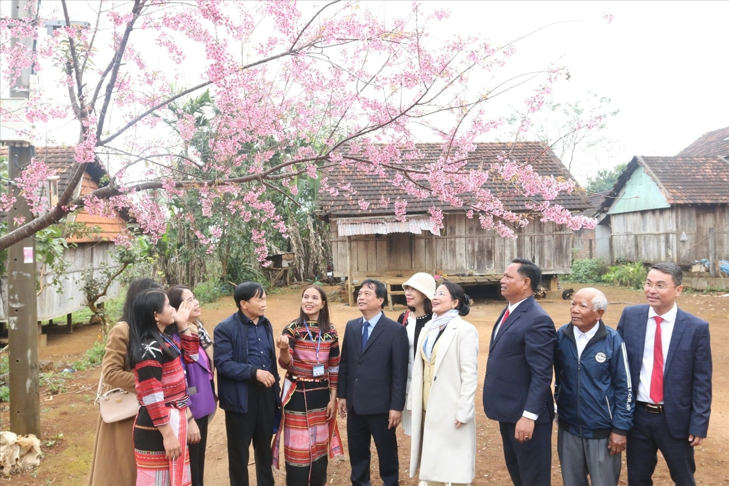 Ngày hội hoa đào Vĩnh Sơn thu hút rất nhiều du khách Ngày hội hoa đào Vĩnh Sơn thu hút rất nhiều du khách