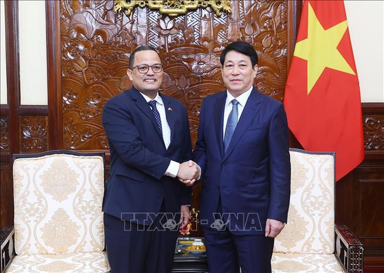 Chủ tịch nước Lương Cường tiếp Đại sứ Dominica tại Việt Nam Jaime Francisco Rodríguez - Ảnh: TTXVN