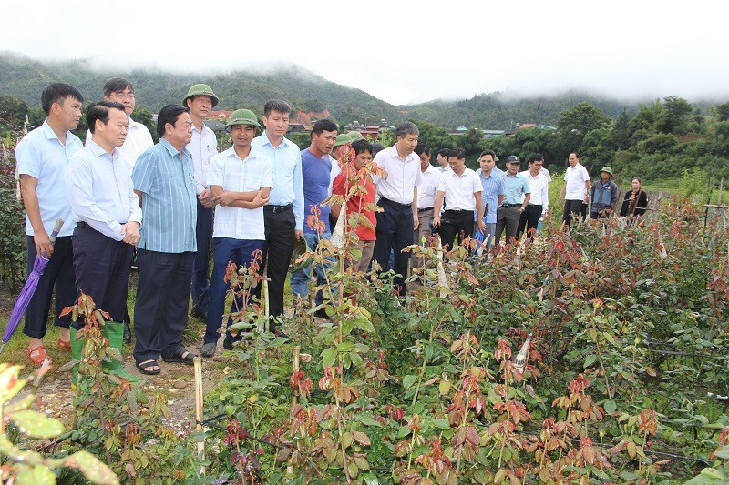 Lãnh đạo Bộ Nông nghiệp và Phát triển nông thôn (nay là Bộ Nông nghiệp và Môi trường) cùng lãnh đạo tỉnh Hòa Bình thăm quan các mô hình phát triển kinh tế tại huyện Mù Cang Chải (Anh TL) Lãnh đạo Bộ Nông nghiệp và Phát triển nông thôn (nay là Bộ Nông nghiệp và Môi trường) cùng lãnh đạo tỉnh Yên Bái thăm quan các mô hình phát triển kinh tế tại huyện Mù Cang Chải (Ảnh TL)