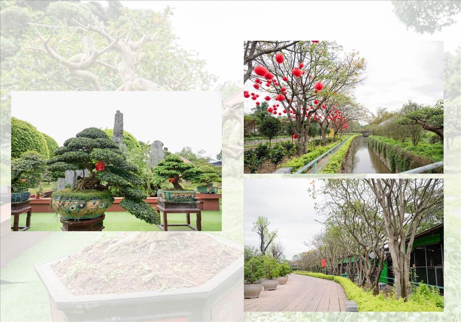 Vườn cây cảnh Dũng Tân là nơi quy tụ hàng nghìn cây, với nhiều loại cây khác nhau, với quy mô lớn, tính nghệ thuật và thẩm mỹ cao được tạo nên từ các loại các loài hoa thơm, cỏ lạ, cây cảnh đẹp, độc đáo từ khắp nơi trong cả nước được huy động về để phục vụ cho nhu cầu kinh doanh, trang trí cảnh quan nơi đây.