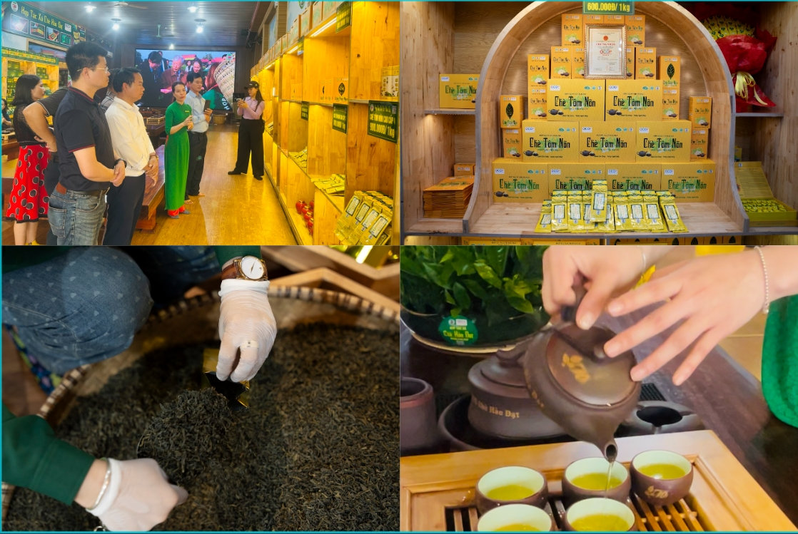 Thương hiệu chè Hảo Đạt vinh dự được công nhận là sản phẩm công nghiệp nông thôn tiêu biểu cấp quốc gia năm 2023