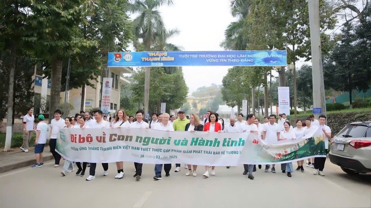 Hơn 1.000 thanh niên trong nước và quốc tế đã cùng nhau tham gia hoạt động 