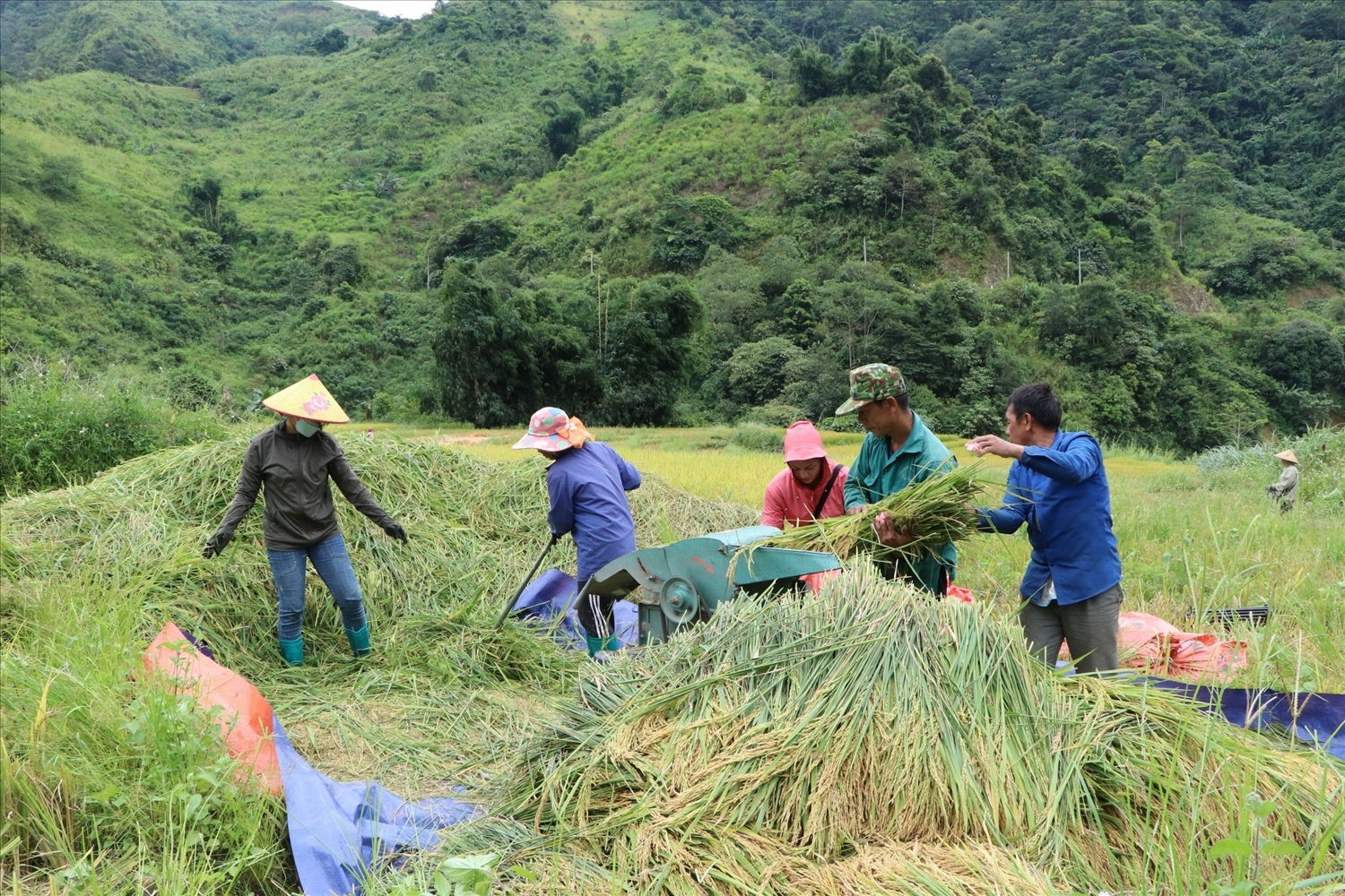Đời sống kinh tế - xã hội vùng đồng bào DTTS trên địa bàn tỉnh Lai Châu đã và đang có bước phát triển tích cực nhờ Chương trình MTQG 1719 (Ảnh minh họa).