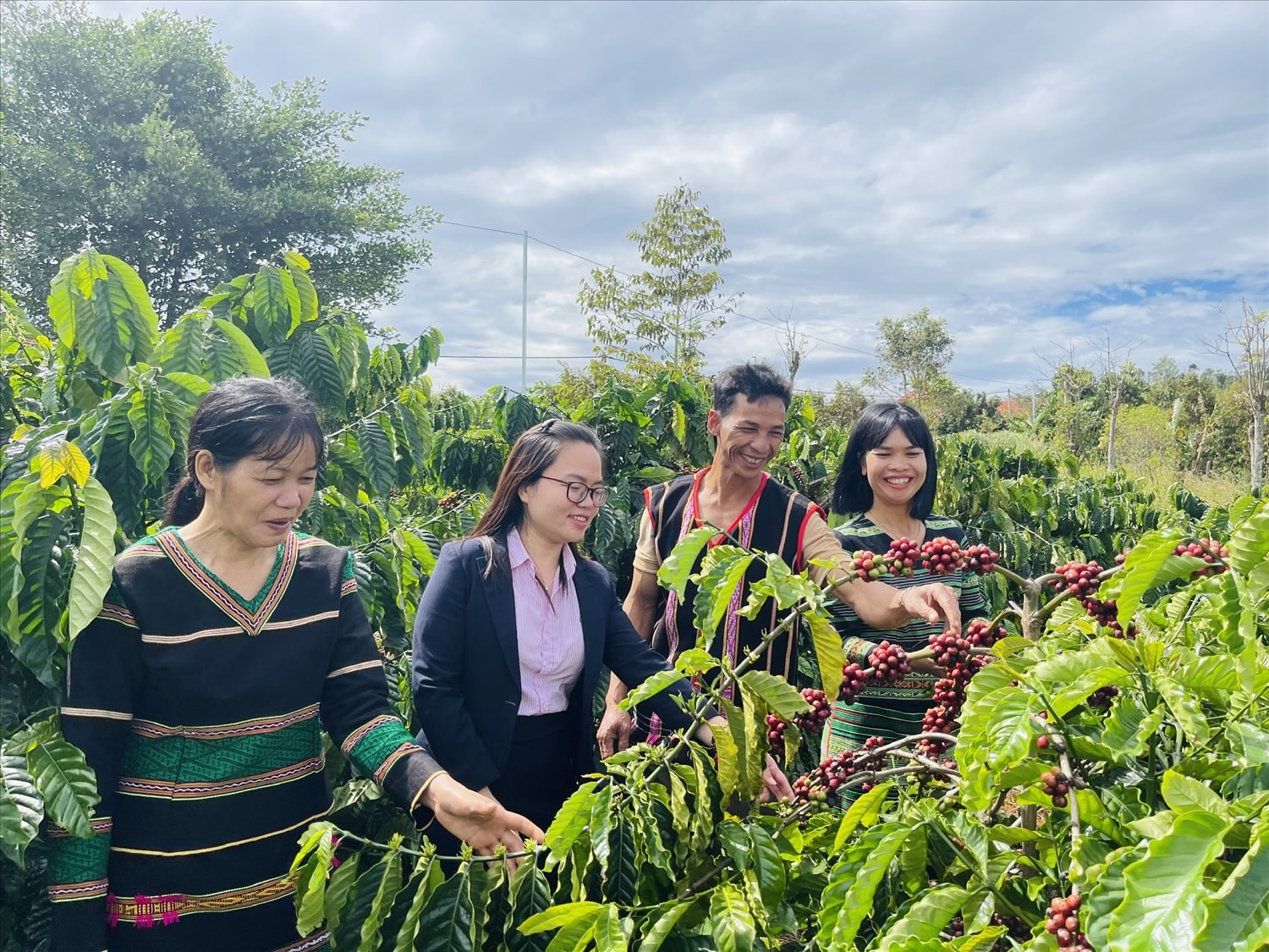 Nhờ nguồn vốn tín dụng chính sách xã hội, nhiều người dân trên địa bàn xã Trường Xuân, huyện Đắk Song (Đắk Nông) đã phát huy hiệu quả mô hình kinh tế từ cà phê