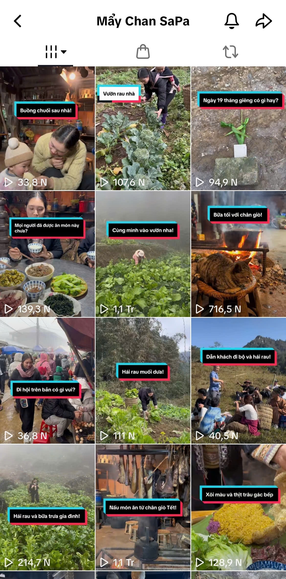 Trên nền tảng Tiktok, những video về cuộc sống hàng ngày trên 2 kênh của Mẩy Kim và Mẩy Chan đạt được hàng triệu lượt view và lượt thích.