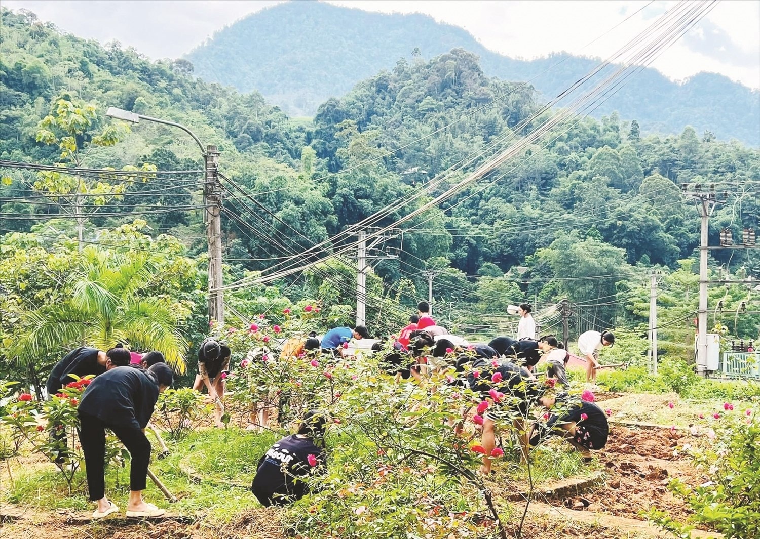 Được ở nội trú, học sinh người DTTS có điều kiện phát triển toàn diện.  (Trong ảnh: Học sinh Trường PTDTNT THCS B huyện Đà Bắc trong giờ ngoại khóa)