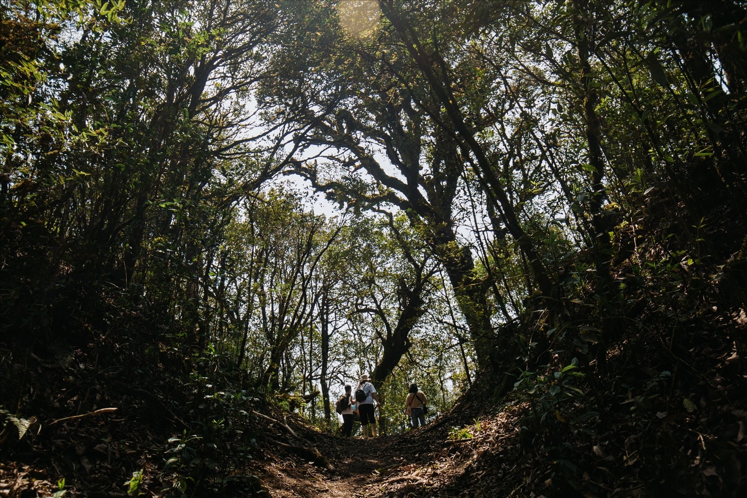 Cung đường trekking Tây Côn Lĩnh có nhiều đoạn dốc trơn trượt, nhất là vào những ngày mưa, nên du khách nên mang giày độ bám, có khả năng chống thấm và tránh đi giày chạy bộ hoặc dép sẽ gây nhiều khó khăn khi di chuyển.
