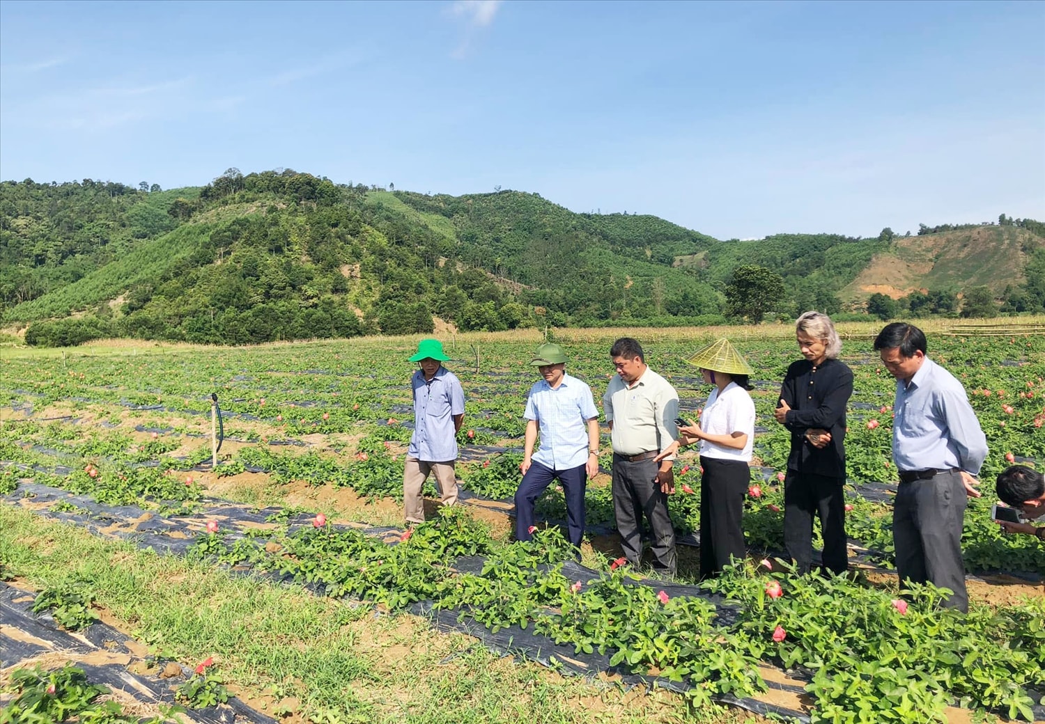 Để hộ nghèo vùng DTTS không tái nghèo, UBND huyện A Lưới đã gắn nhiệm vụ xóa nhà tạm với việc hỗ trợ sinh kế để đồng bào phát triển kinh tế bền vững