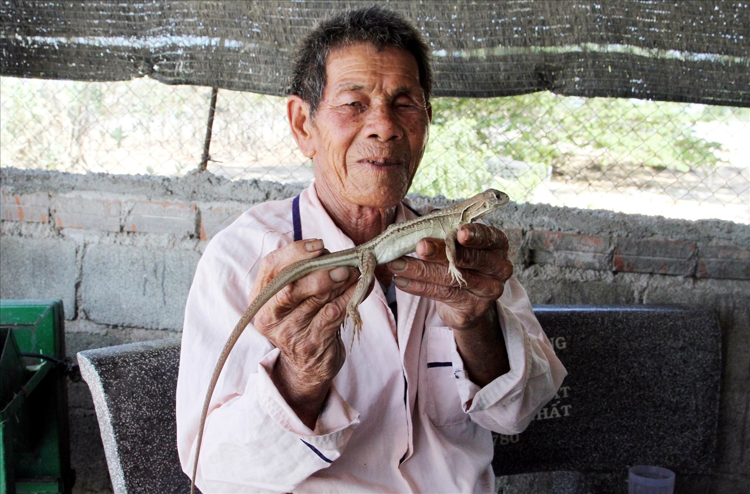 Ông Nguyễn Càng với nghề nuôi dông, tạo thu nhập bảo đảm cuộc sống người cao tuổi.
