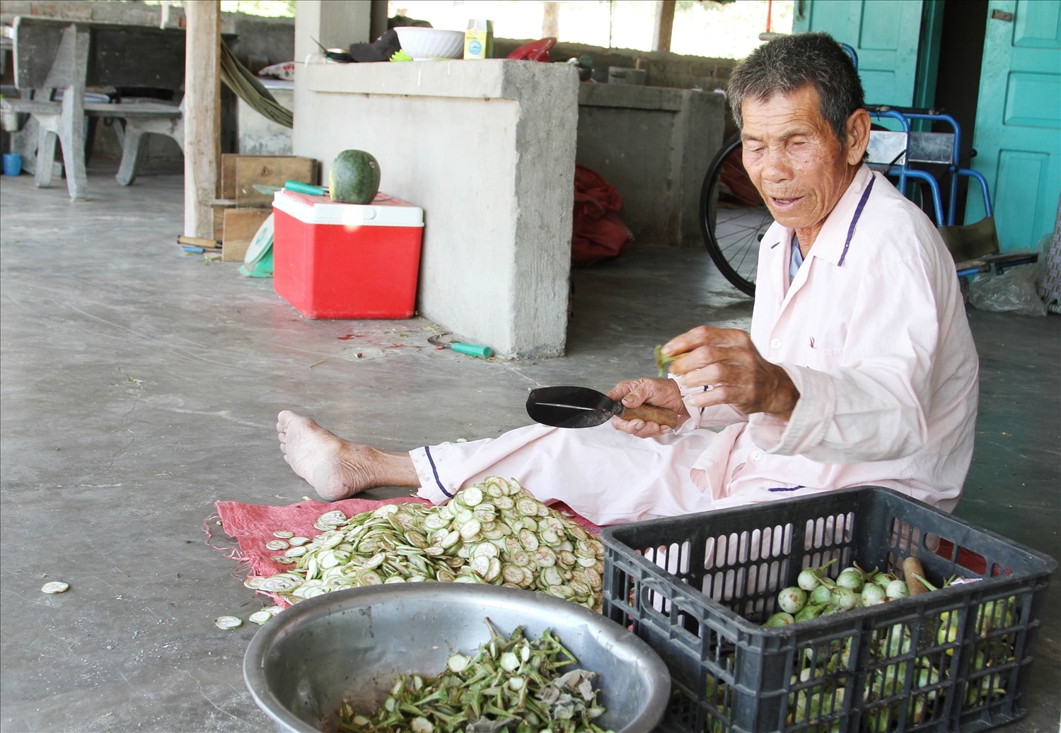 Ông Nguyễn Càng thái dưa mỡ trồng từ vườn nhà làm thức ăn nuôi dông. 
