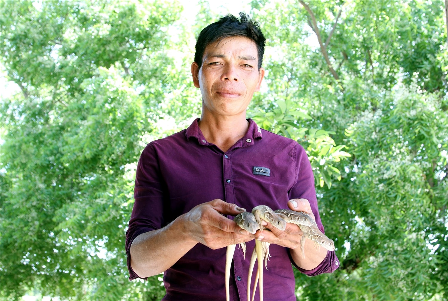 Anh Nguyễn Sạch phấn khởi với nghề nuôi dông cho thu nhập ổn định. 
