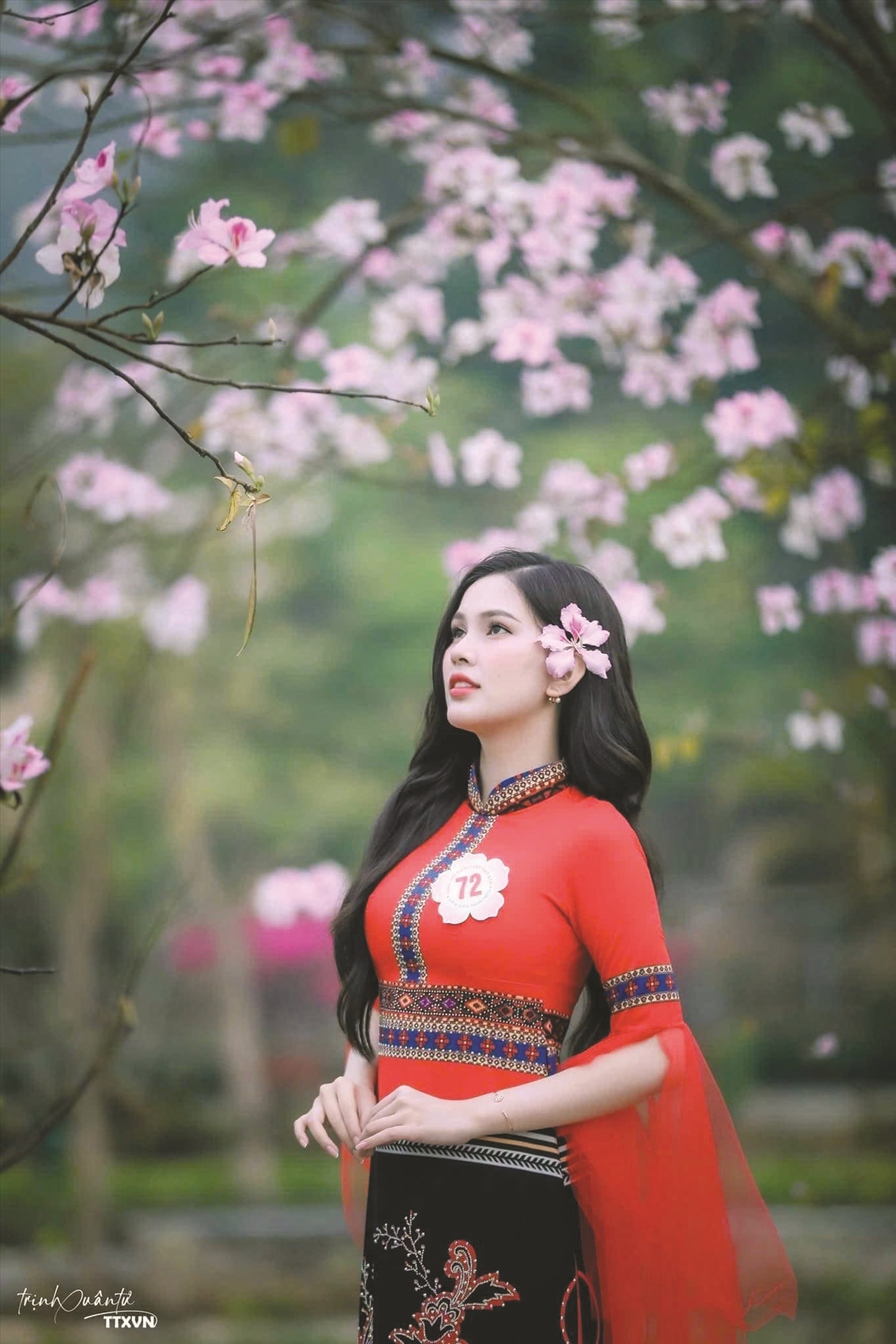 Thiếu nữ Thái với hoa ban. Ảnh Trịnh Xuân Tư