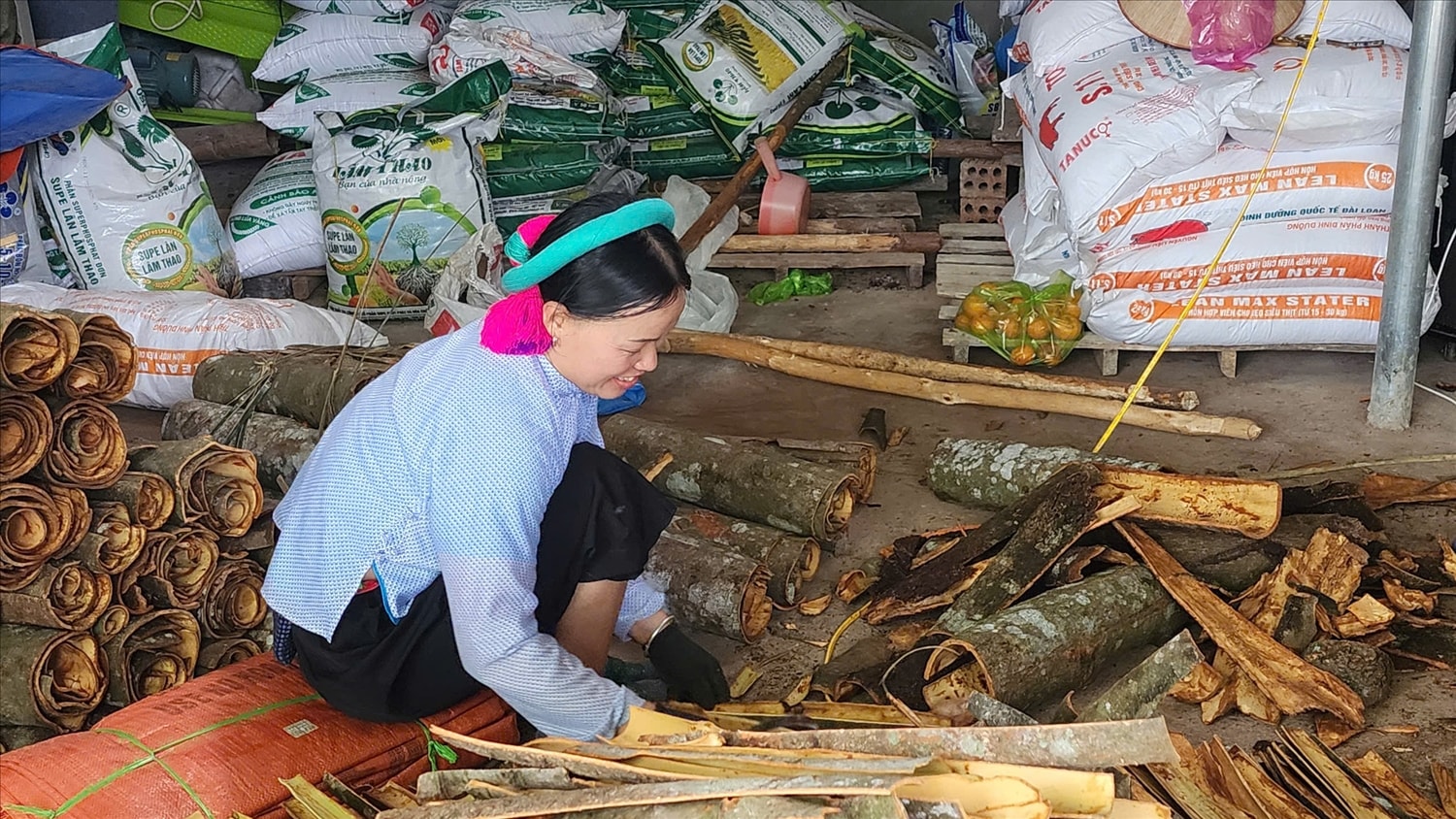Nụ cười lao động