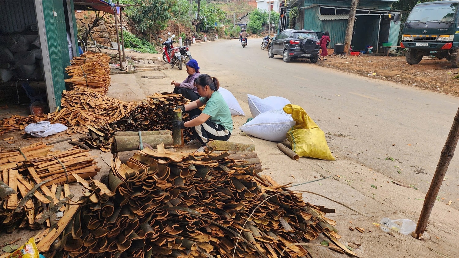  Quế bóc trên rừng được các hộ chở về các điểm thu mua để bán, sau đó quế thanh được lựa ra phân loại để cạo vỏ phơi khô