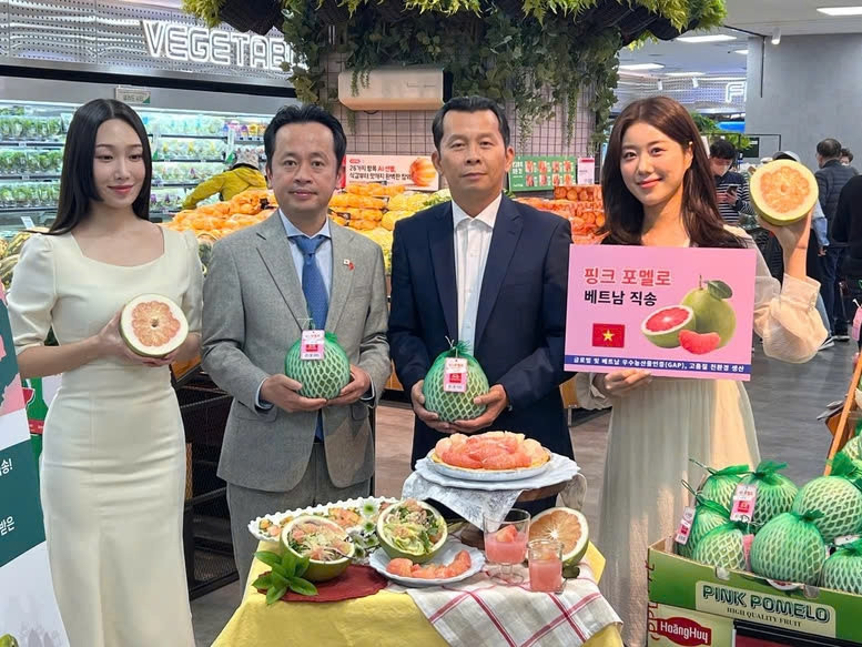 Đại diện Lotte Mart đánh giá cao tiềm năng của trái bưởi Việt Nam nhờ hương vị ngọt thanh, hàm lượng vitamin C cao và phù hợp với khẩu vị người tiêu dùng Hàn Quốc. Ảnh: TL