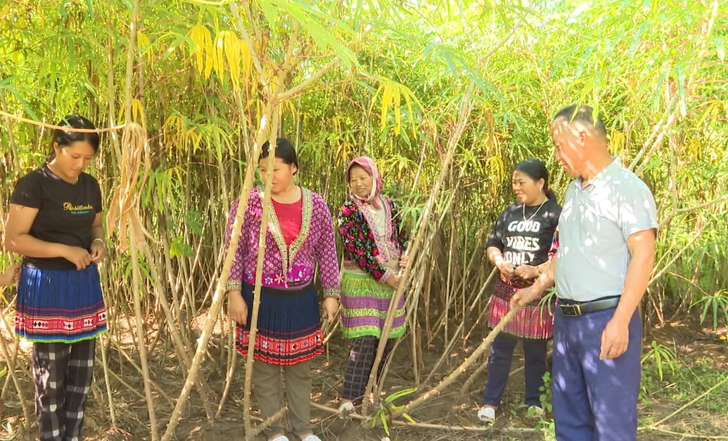 việc tiếp tục thực hiện tốt các chính sách phát triển kinh tế - xã hội, nâng cao đời sống của người dân là biện pháp quan trọng giúp đồng bào DTTS có cuộc sống ổn định, không bị kẻ xấu lợi dụng. Việc tiếp tục thực hiện tốt các chính sách phát triển kinh tế - xã hội, nâng cao đời sống của người dân là biện pháp quan trọng giúp đồng bào DTTS có cuộc sống ổn định, không bị kẻ xấu lợi dụng.