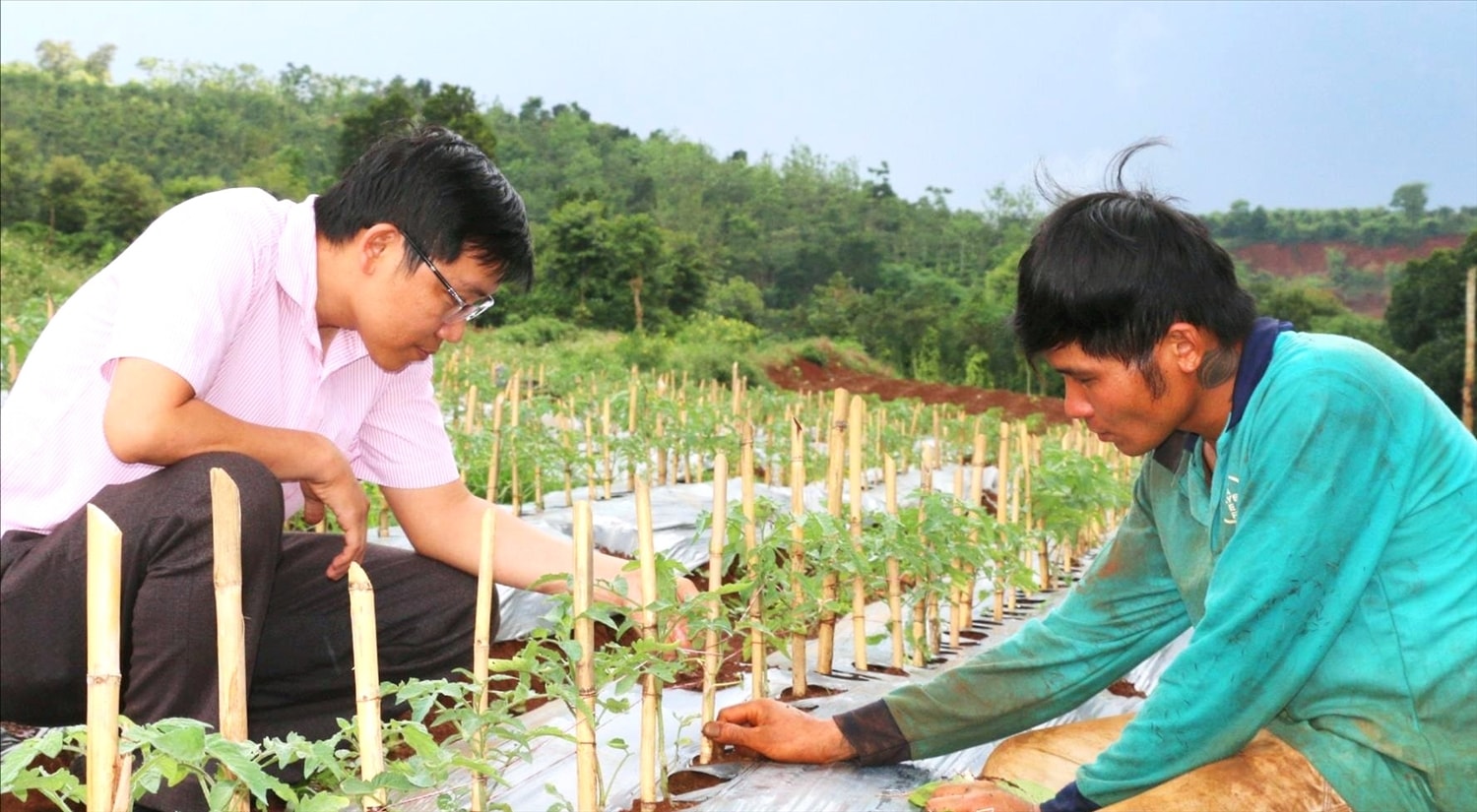 Nông dân  ở huyện Đắk Song (Đắk Nông) được tiếp cận vốn ưu đãi, kịp thời đầu tư vào sản xuất