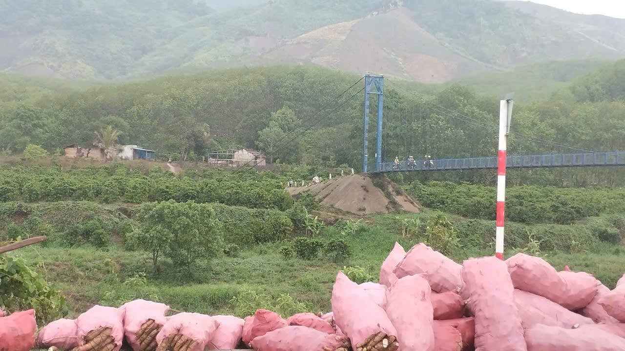 Khu vực rẫy người dân trú mưa thì bị sét đánh trúng Khu vực rẫy người dân trú mưa thì bị sét đánh trúng