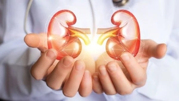 (Tổng hợp) Cách phòng ngừa suy thận bạn nên biết