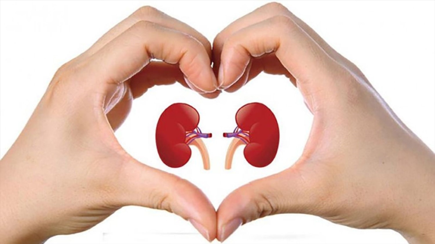 (Tổng hợp) Cách phòng ngừa suy thận bạn nên biết 2