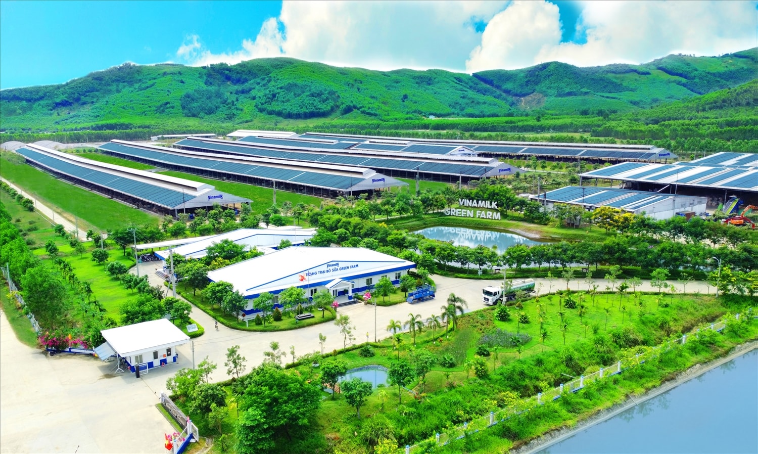 Cuộc cách mạng trắng khởi nguồn từ TP.HCM nền tảng ban đầu để Vinamilk phát triển hệ thống 15 trang trại chuẩn quốc tế trong và ngoài nước. Cuộc cách mạng trắng khởi nguồn từ TP.HCM nền tảng ban đầu để Vinamilk phát triển hệ thống 15 trang trại chuẩn quốc tế trong và ngoài nước.