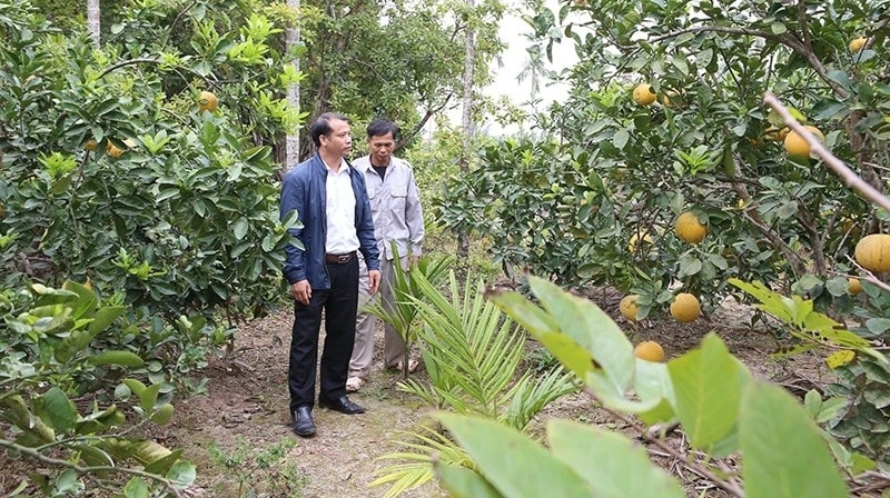 Nhiều mô hình trồng cây ăn quả của giáo dân ở vùng núi Thanh Hóa cho hiệu quả kinh tế cao