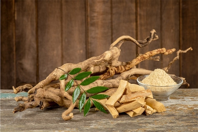 Rễ cây mật nhân được thái nhỏ và phơi khô