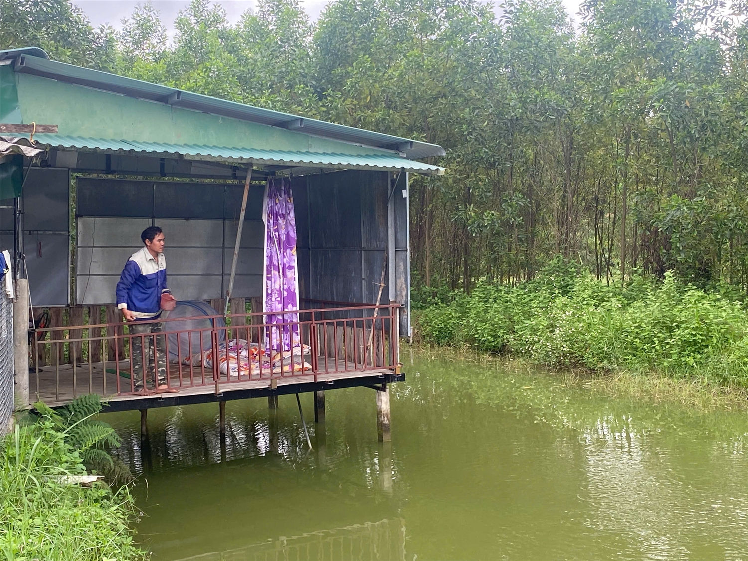 Nhiều Người có uy tín ở Quảng Ngãi tích cực làm kinh tế, góp phần sự phát triển của bản, làng vùng cao.
