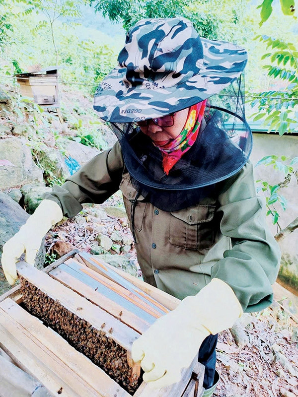 bà Trương Thị Hiển là người tiên phong đưa ong lấy mật về nuôi ở xã Trường Sơn bà Trương Thị Hiển là người tiên phong đưa ong lấy mật về nuôi ở xã Trường Sơn