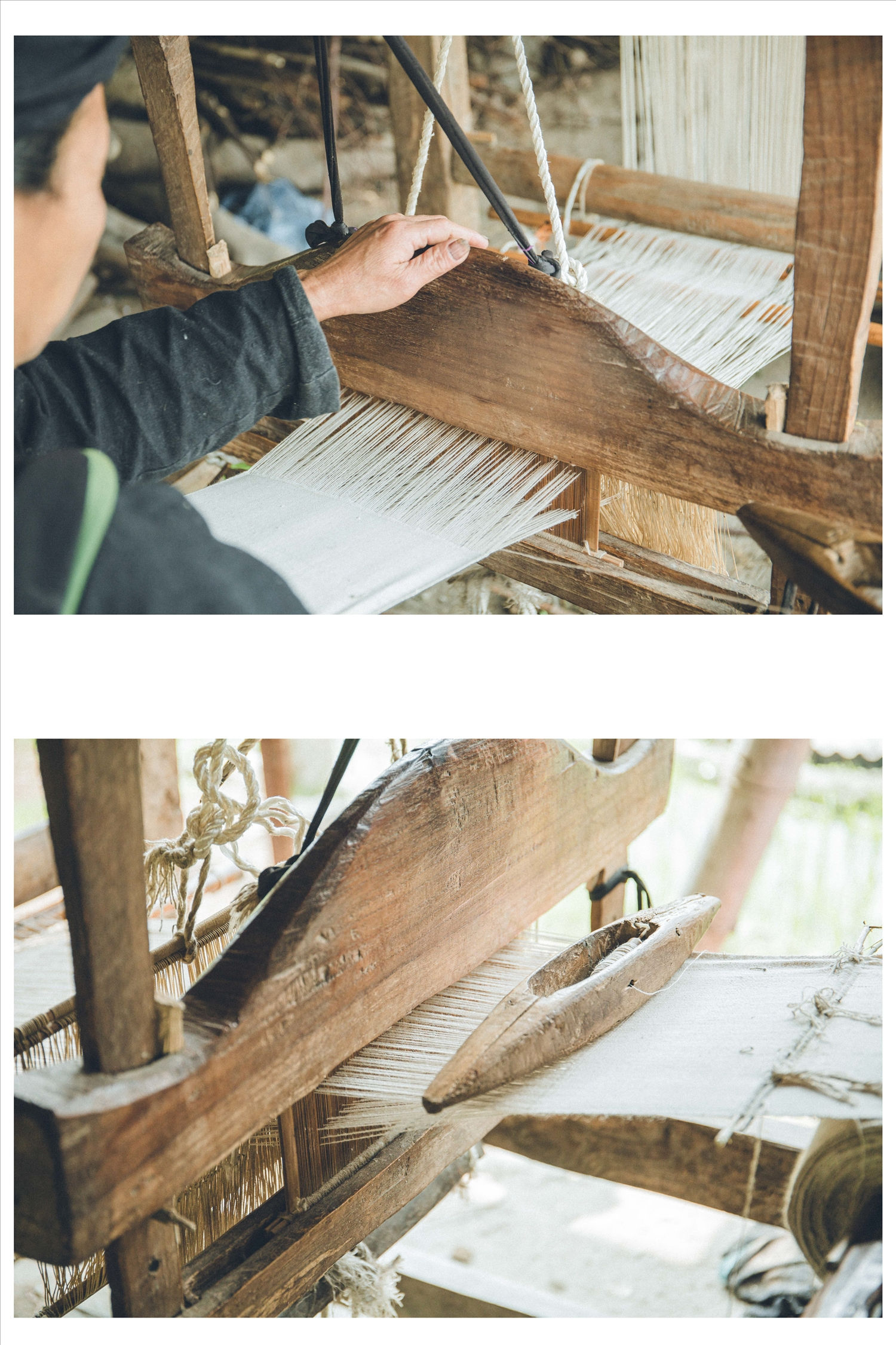 Từ những sợi chỉ mỏng manh, người phụ nữ tiếp tục dệt để có được một tấm vải thô ưng ý. Khi dệt vải, chân và tay phải phối hợp nhịp nhàng để không bị rối sợi. Từ những sợi chỉ mỏng manh, người phụ nữ tiếp tục dệt để có được một tấm vải thô ưng ý. Khi dệt vải, chân và tay phải phối hợp nhịp nhàng để không bị rối sợi.