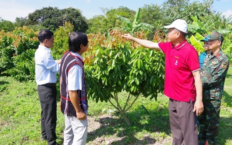 Các Dự án, Tiểu Dự án của Chương trình MTQG 1719 đã và đang tạo sinh kế, hướng tới xóa đói giảm nghèo trong vùng đồng bào DTTS và miền núi (Ảnh minh họa). Các Dự án, Tiểu Dự án của Chương trình MTQG 1719 đã và đang tạo sinh kế, hướng tới xóa đói giảm nghèo trong vùng đồng bào DTTS và miền núi (Ảnh minh họa).