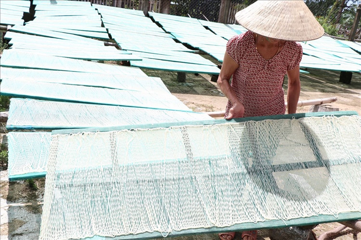 Phở sắn được ép và tạo hình xong, mang ra phơi nắng.